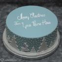 Amazing Christmas Greeting Decorated Cake Love Name Picture