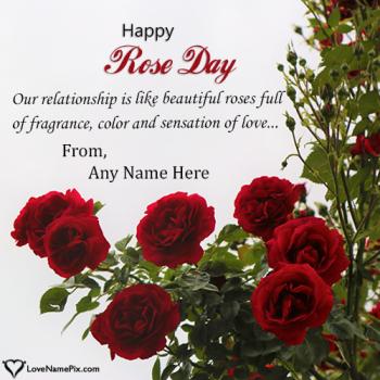 Cute Rose Day Greeting With Name