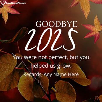 Reflective and Gratitude Focused Goodbye 2025 Quotes With Name