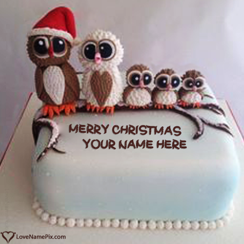 Cute Owl Family Christmas cake With Name