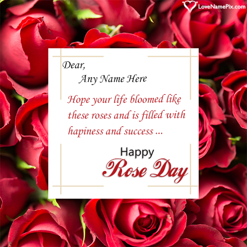 Happy Rose Day Wishes Love Name And Photo With Name