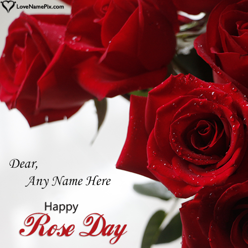 Rose Day Quotes For Girlfriend Or Boyfriend With Name